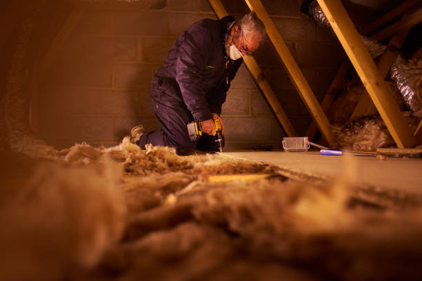 Best Energy-efficient Insulation  in Lone Tree, CO